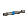 Punta Destornillador de Impacto Torx Seguridad 2" TT40 - Industrial - Reciclable